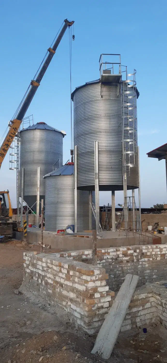 نصاب سیلو|خدمات پیشه و مهارت|میانه, |دیوار