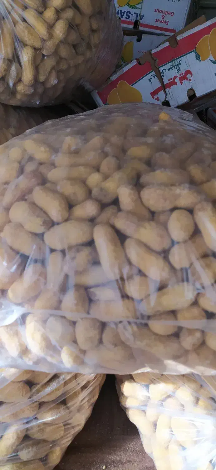 بادام زمینی|عمدهفروشی|کامیاران, |دیوار