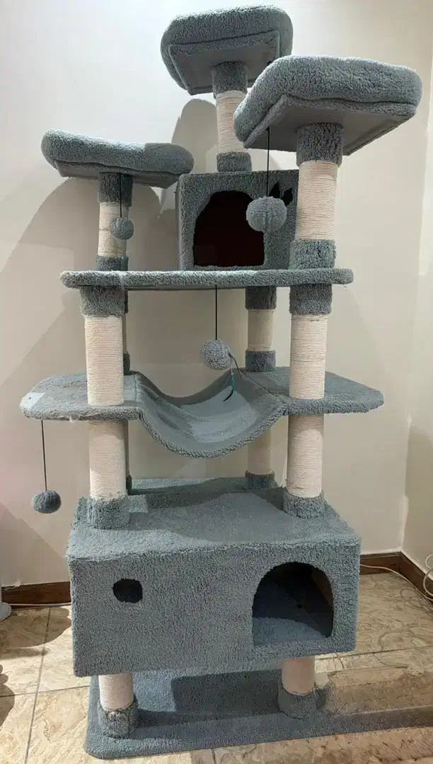 اسکرچر گربه هتل گربه ای|لوازم جانبی حیوانات|تهران, باغ خزانه|دیوار