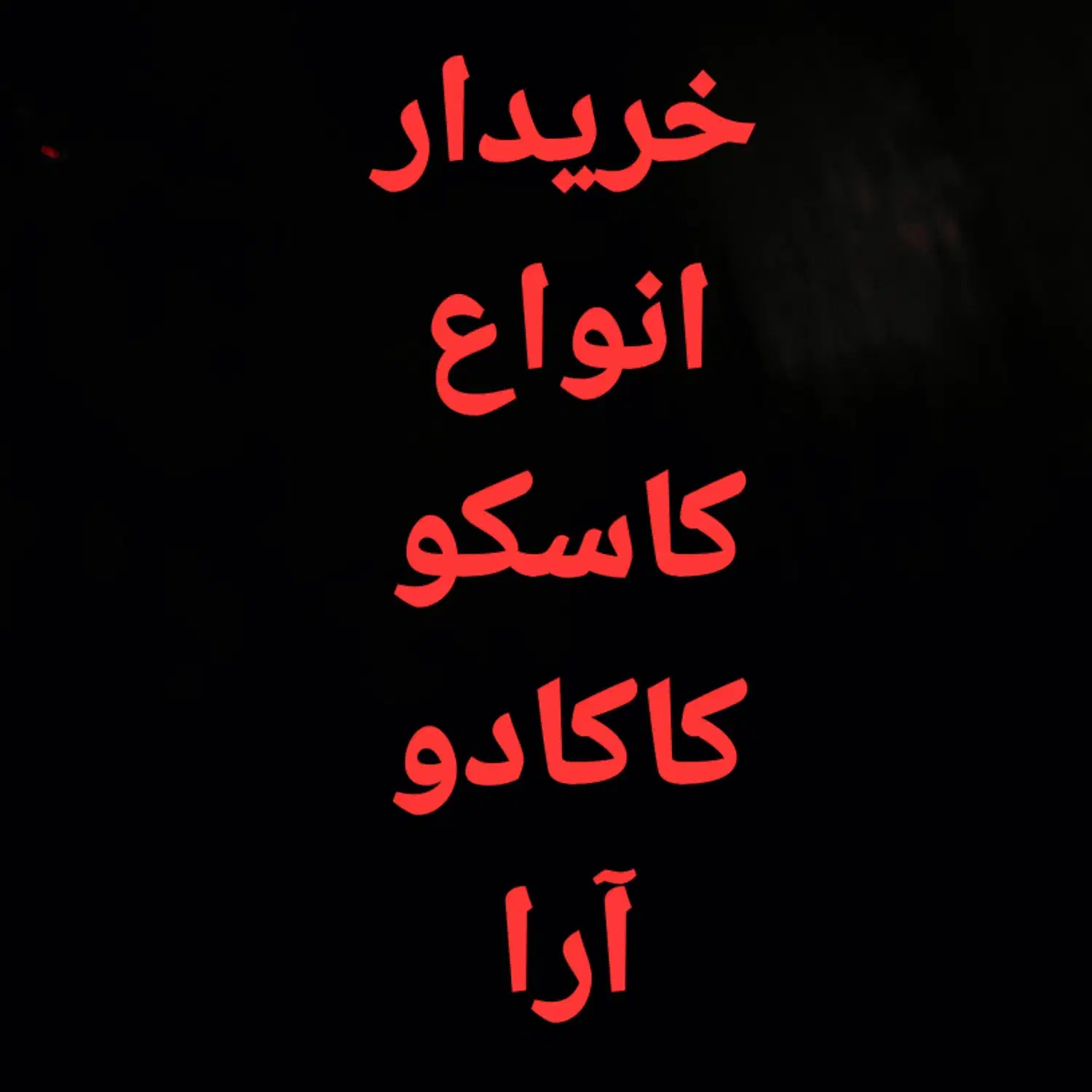 کاسکو صاف پرکن با کلام بی کلام درب منزل|پرنده|تهران, صادقیه|دیوار