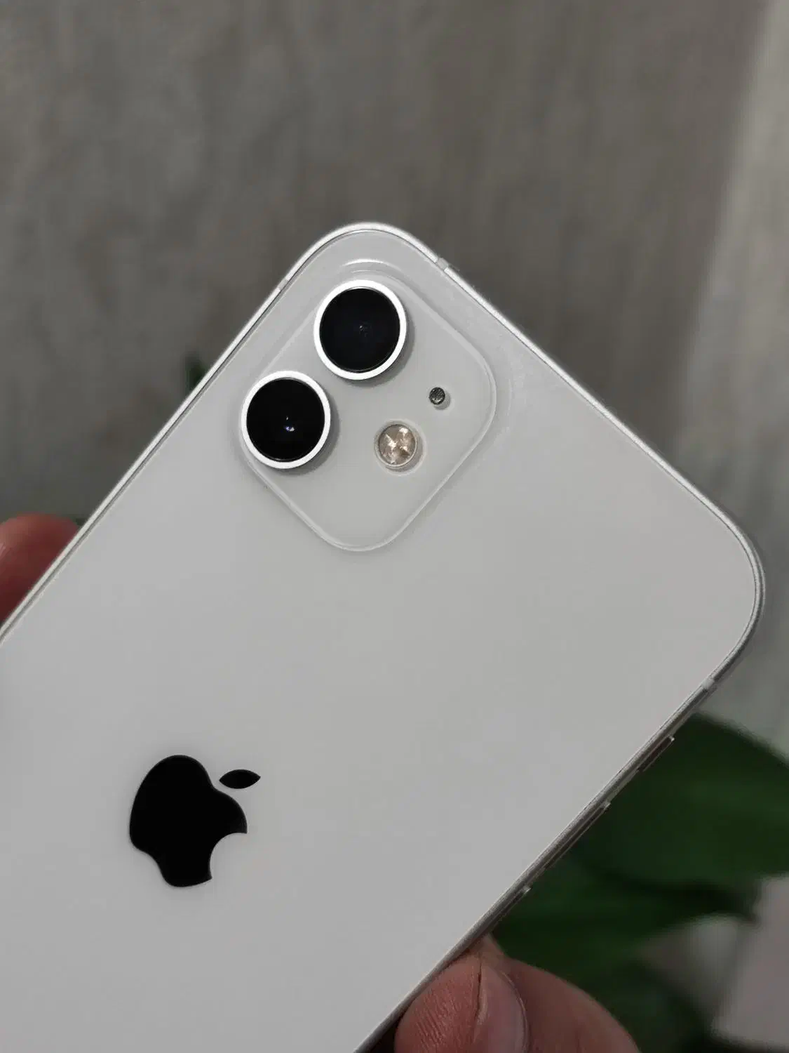 آیفون 12 نرمال نونو پلمپ بدون بازشدگی|موبایل|شیراز, زرهی|دیوار