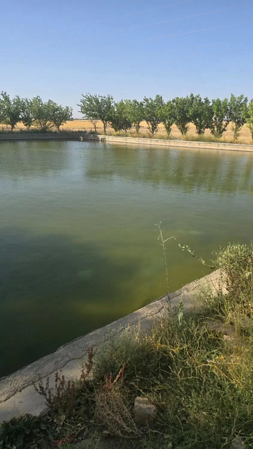 فروش چاه آب ، موتور آب با ۱۶ هکتار زمین کشاورزی|فروش دفتر صنعتی، کشاورزی، تجاری|اراک, |دیوار