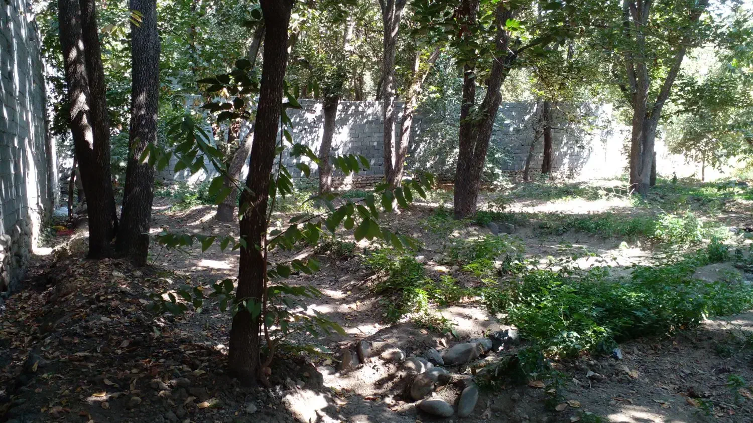 ۱۷۰۵ متر باغ - خدابخش|فروش زمین و ملک کلنگی|تهران, کن|دیوار