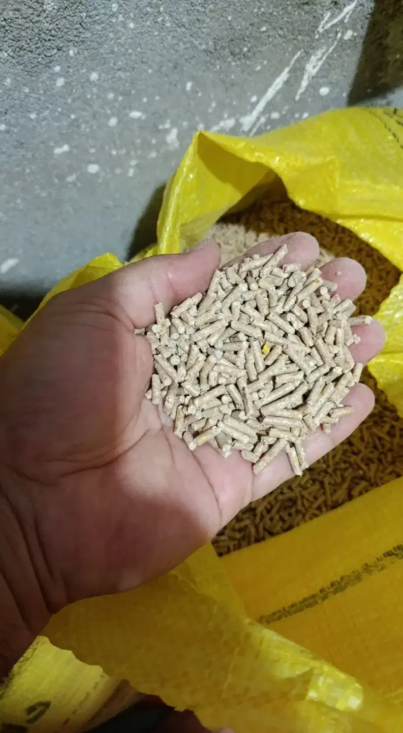 سوپراستارترباآنالیزدان پارس شرکتی مرغ بوقلمون جوجه|لوازم جانبی حیوانات|تهران, شمس‌آباد|دیوار