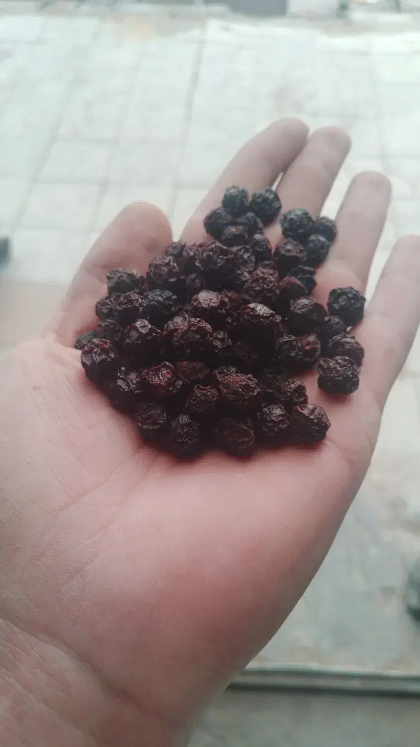 آلبالو|خوردنی و آشامیدنی|بستان آباد, |دیوار