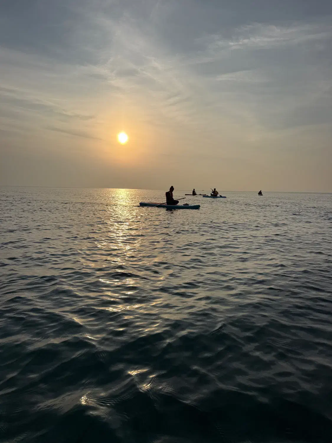 پدل برد سواری|غواصی و ورزشهای آبی|قشم, |دیوار