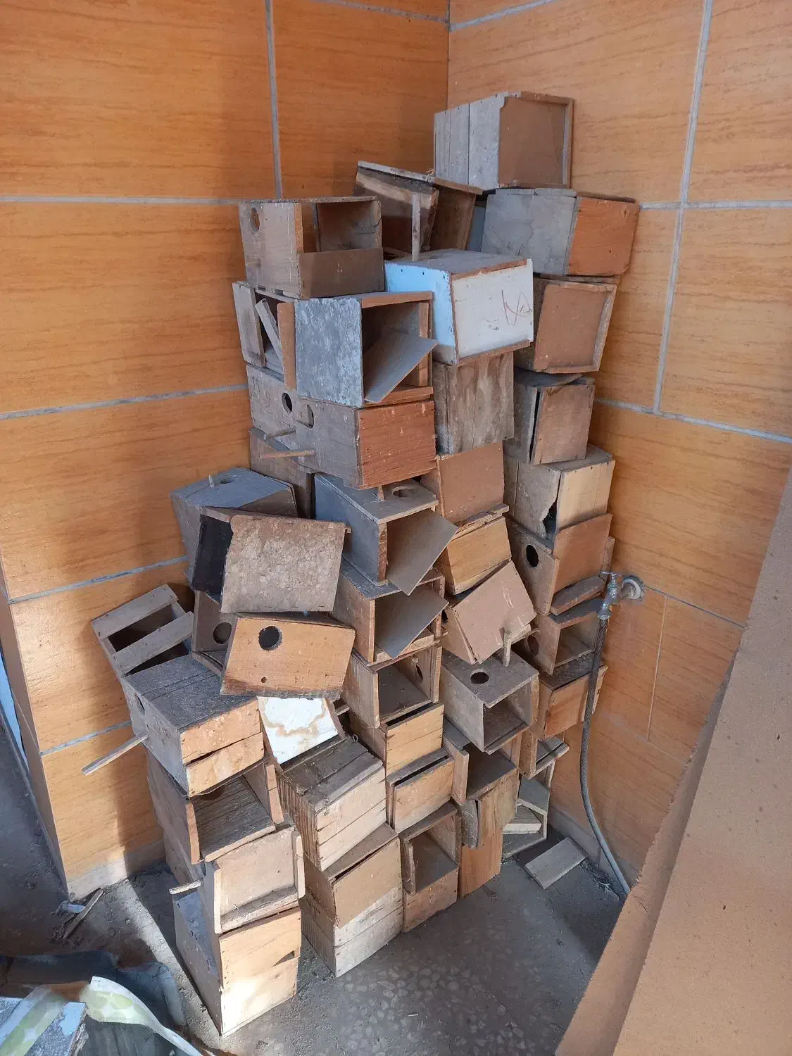 قفس ۶ خان و لانه مرغ عشق|لوازم جانبی حیوانات|کاشان, ولیعصر|دیوار