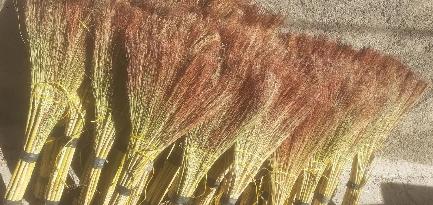 جارو اماده رسیده|لوازم نظافت|رومشکان, |دیوار