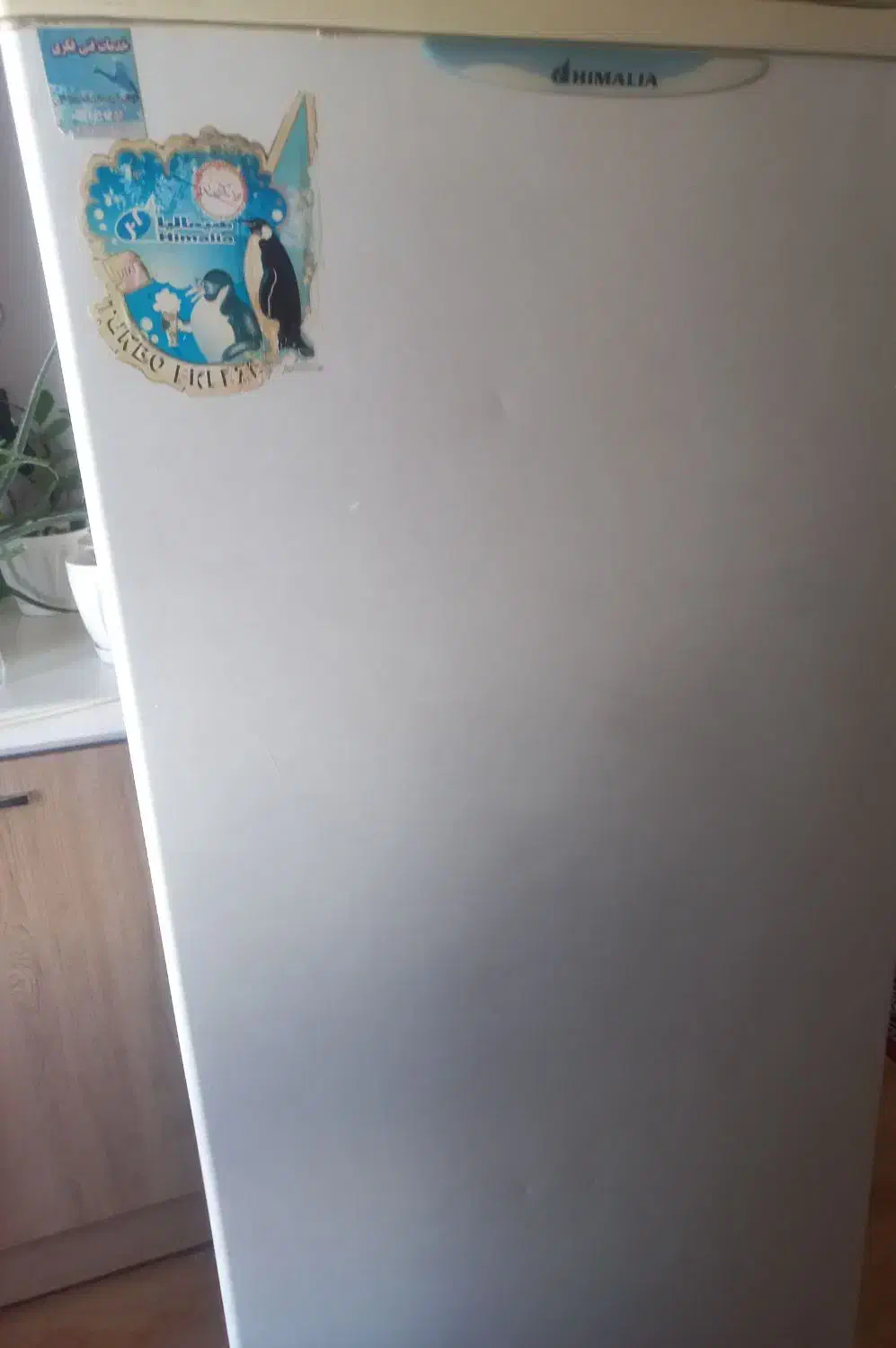 یخچال و .فریزر|یخچال و فریزر|طالقان, |دیوار