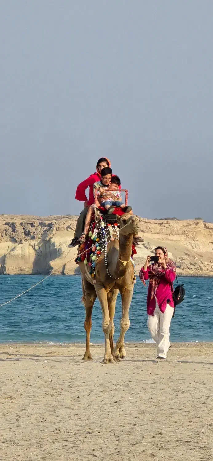 تور گشت جزیره VIP با اسپورتیج|تور و چارتر|قشم, |دیوار