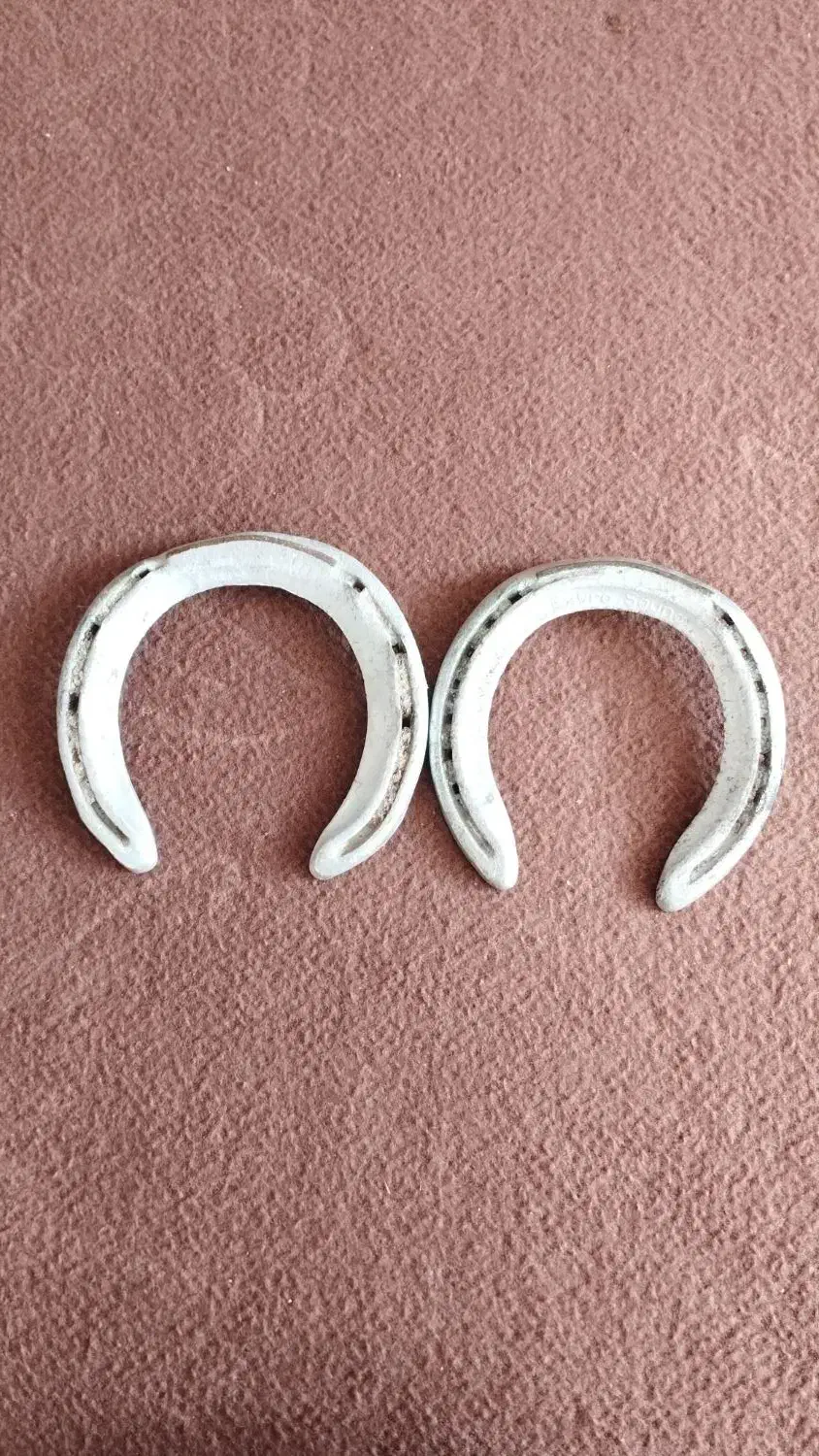 نعل های زیر پای اسب رفته|اسب و تجهیزات اسبسواری|گنبد کاووس, |دیوار