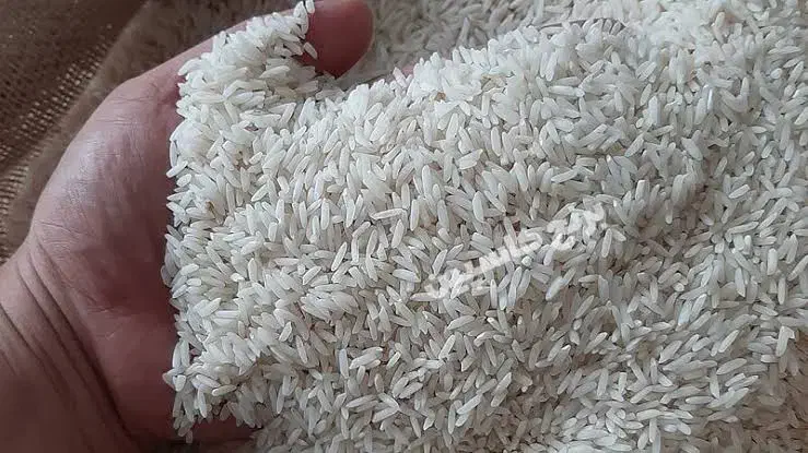 برنج طارم محلی درسته|خوردنی و آشامیدنی|سبزوار, پیروزی|دیوار