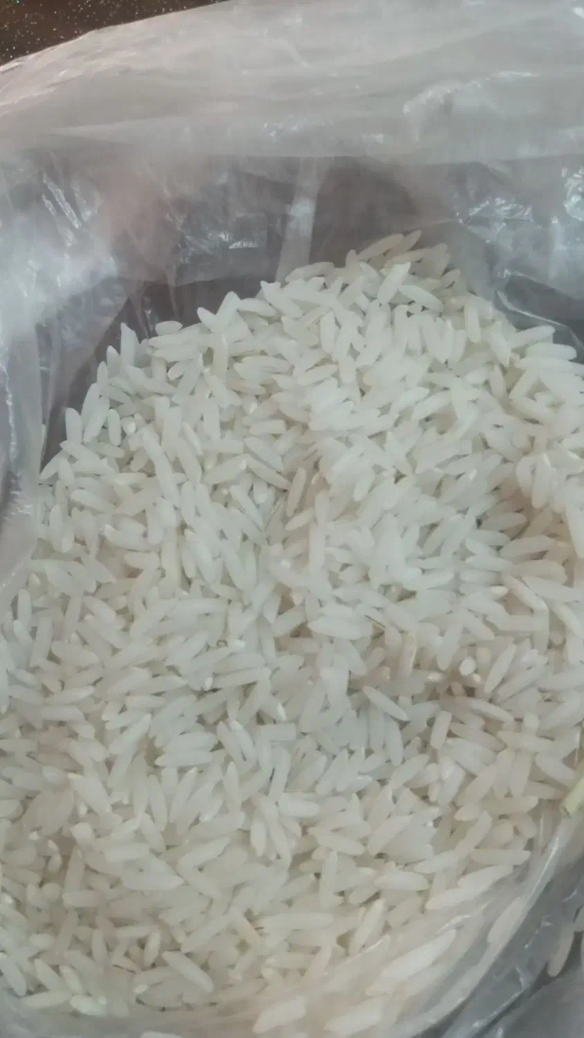 برنج هاشمی محصول امسال|خوردنی و آشامیدنی|رشت, نیروی دریایی|دیوار