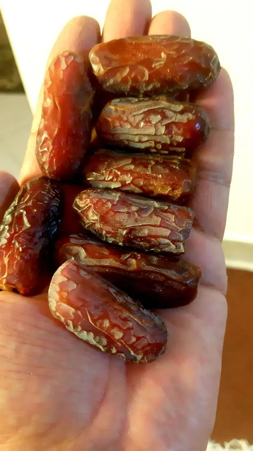 خرمای پیارم درجه ۱ گوشتی و بسیار با کیفیت|خوردنی و آشامیدنی|شیراز, باغ تخت|دیوار