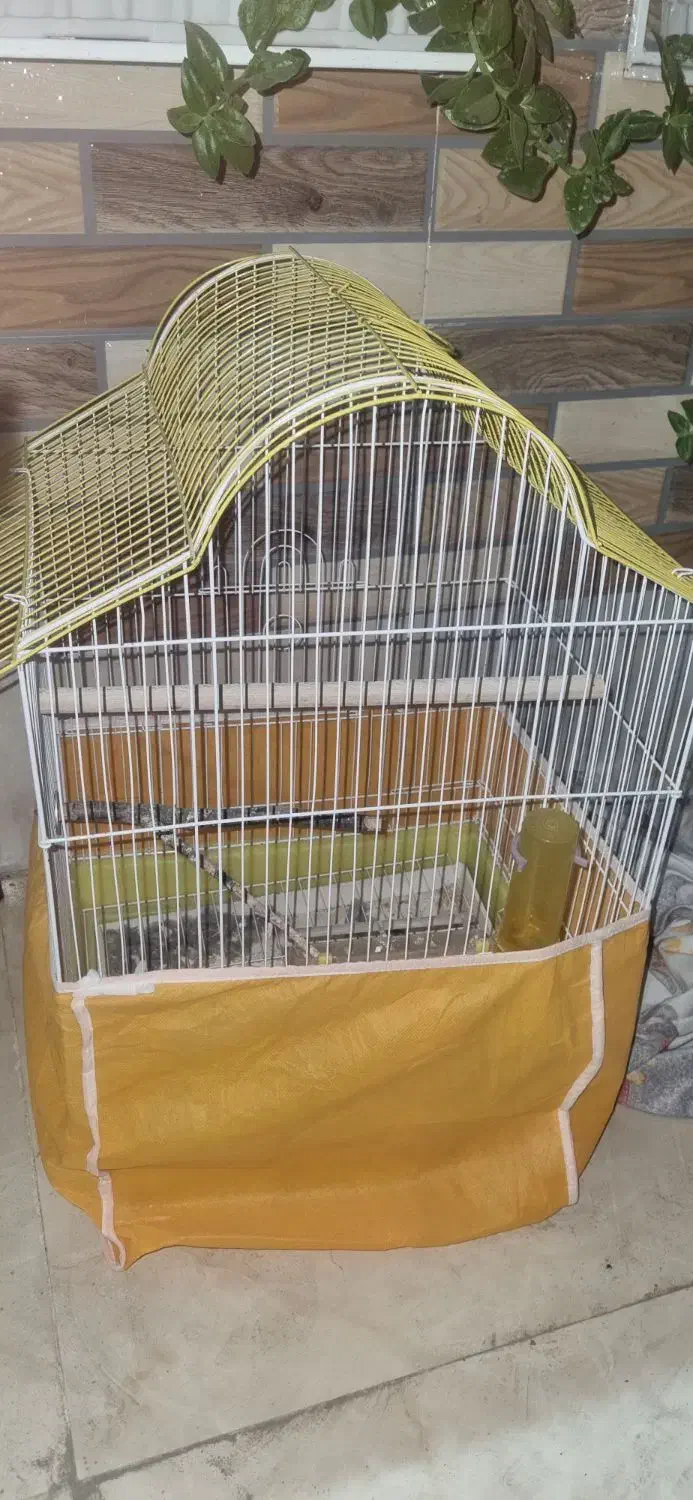 قفس پرنده|لوازم جانبی حیوانات|فولادشهر, B5|دیوار