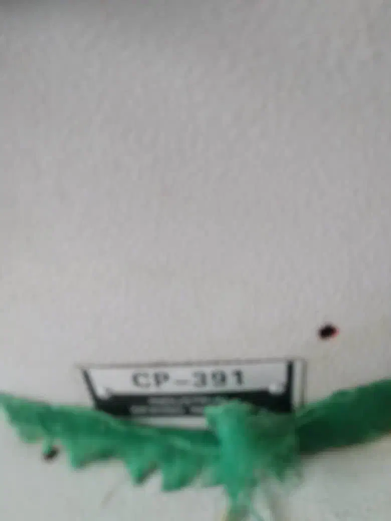 چرخ خیاطی صنعتی|چرخ خیاطی و ریسندگی|بیکاه, |دیوار