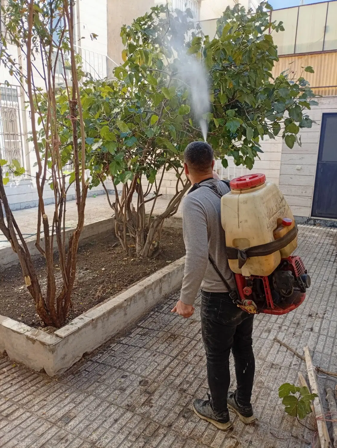 باغبانی چمن کاری تیلرزنی درختکاری هرس کاری گلکاری|خدمات باغبانی و درختکاری|مشهد, احمدآباد|دیوار