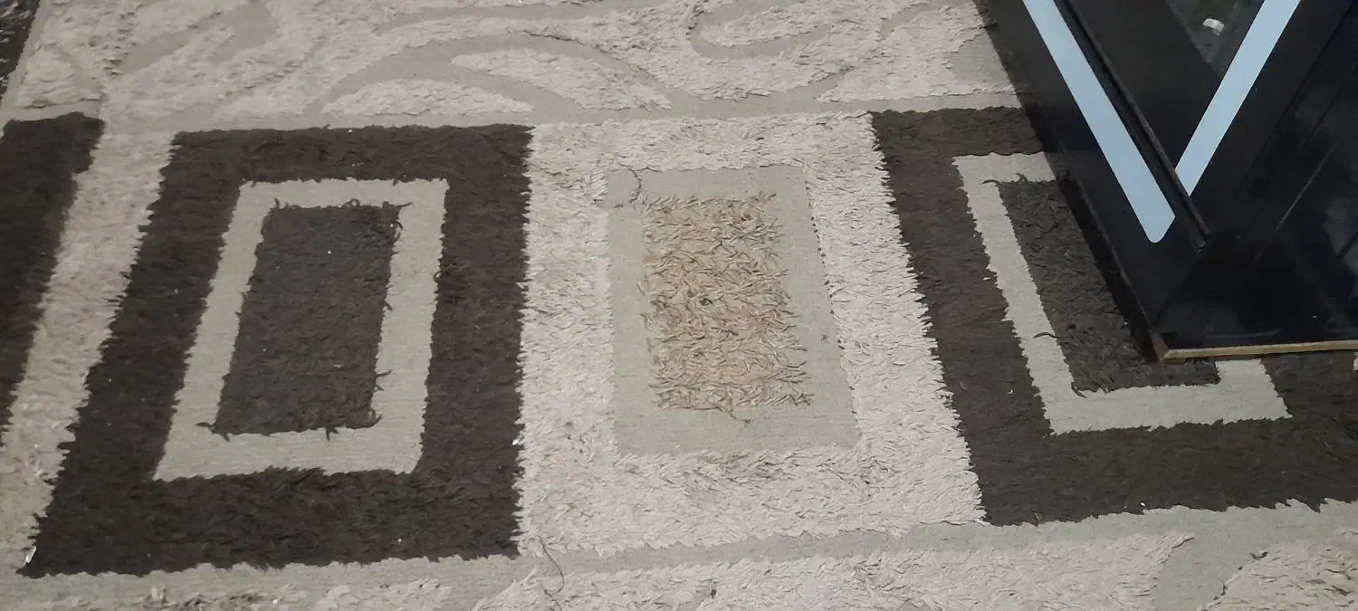 گلیم فرش 6متری|گلیم، جاجیم، گبه|اسلام‌‌آباد غرب, |دیوار