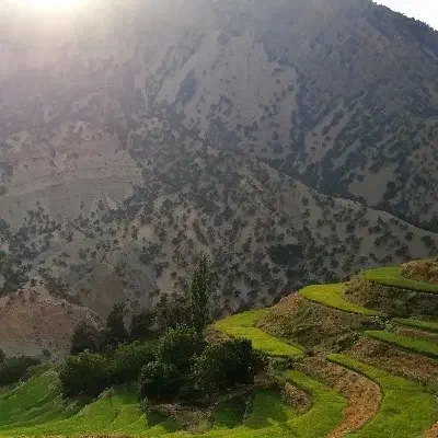 اجاره گاراژ برومی|اجارهٔ دفتر صنعتی، کشاورزی، تجاری|اهواز, غیزانیه|دیوار