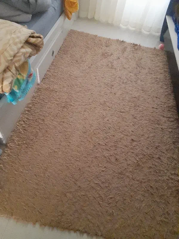 گلیم فرش ۴متری مخصوص اتاق خواب|گلیم، جاجیم، گبه|بندرعباس, |دیوار