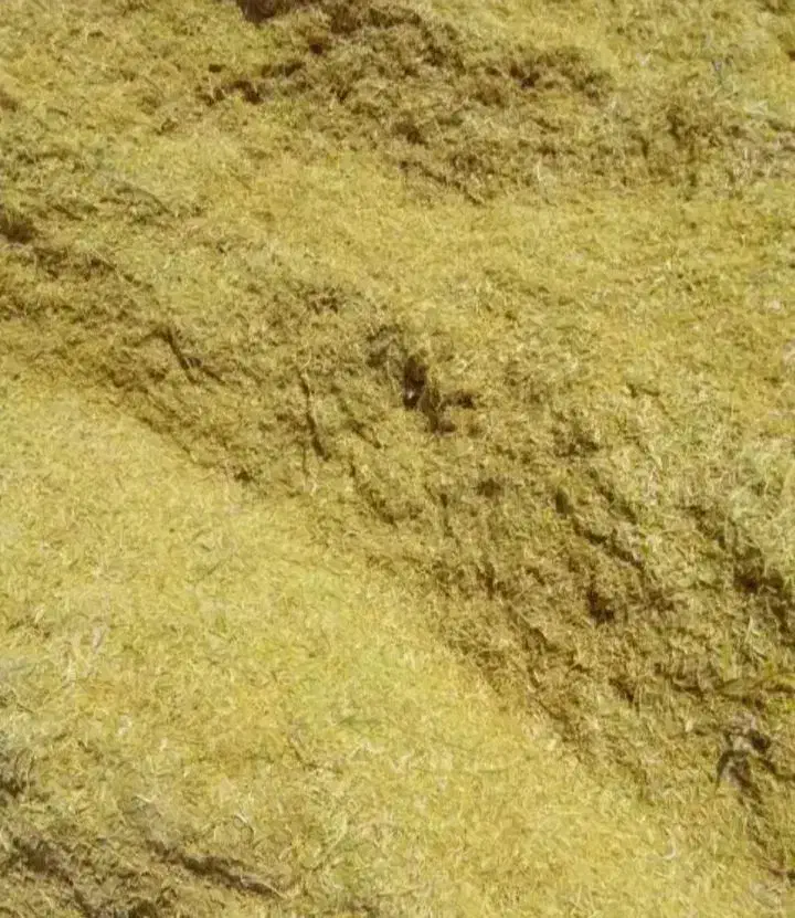 کاه عدس درجه یک 40تن|عمده‌فروشی|قیدار, |دیوار