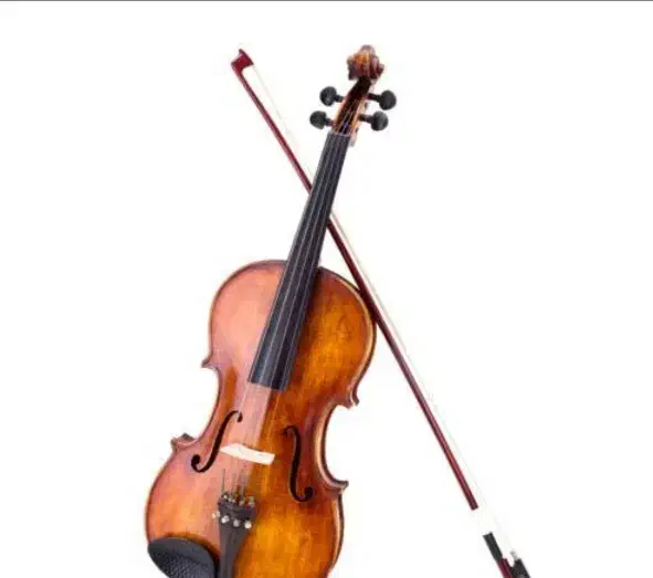 ویالون|ویولن|تهران, شیخ هادی|دیوار