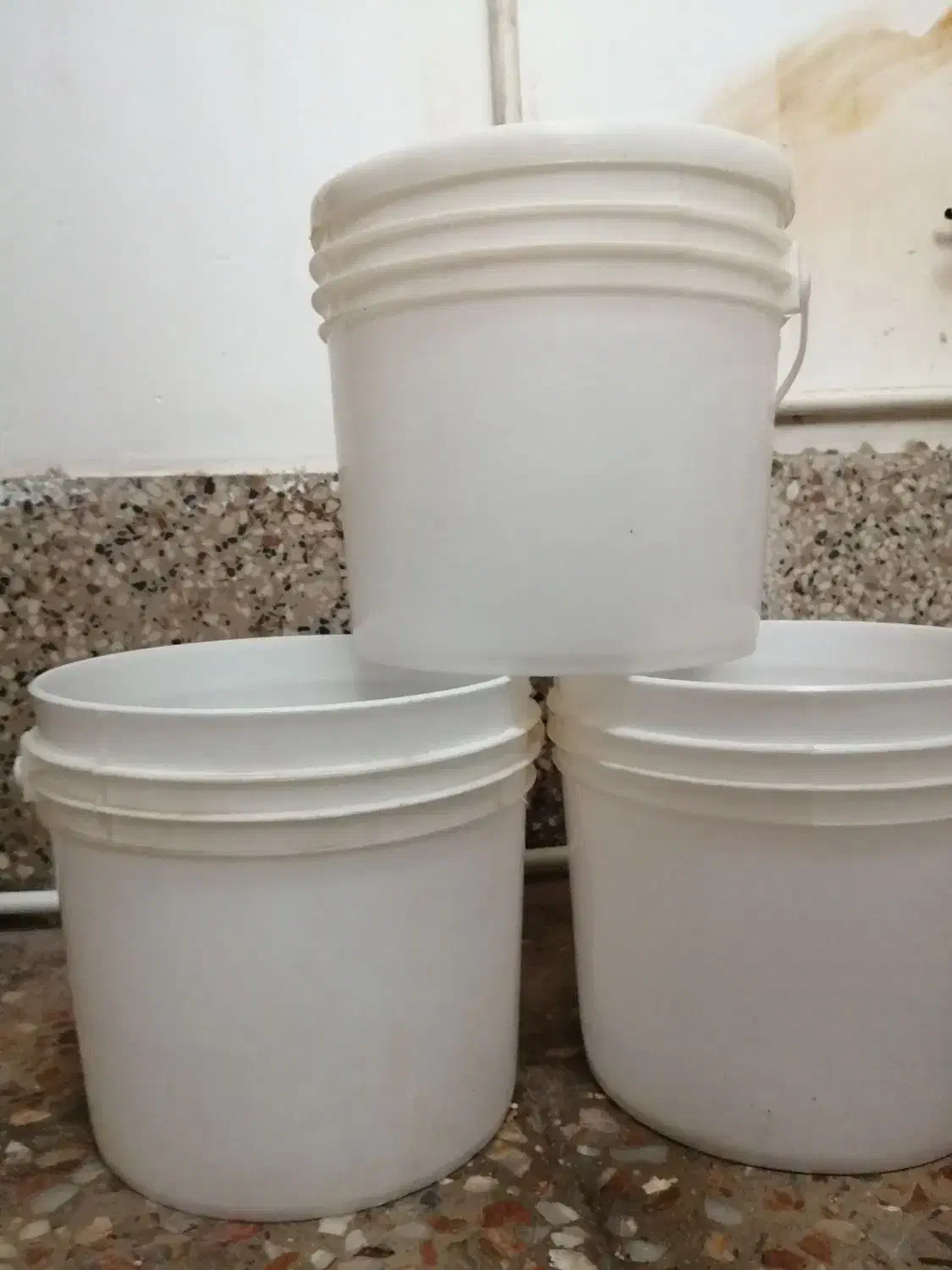 سطل محکم 6 کیلویی پنیری درب دار|ظروف نگهدارنده، پلاستیکی، یک‌بارمصرف|حمیدیا, |دیوار