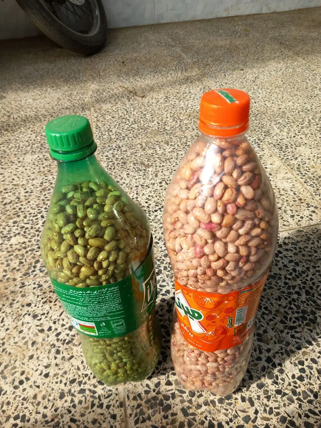 لوبیا چینی|خوردنی و آشامیدنی|کومله, |دیوار