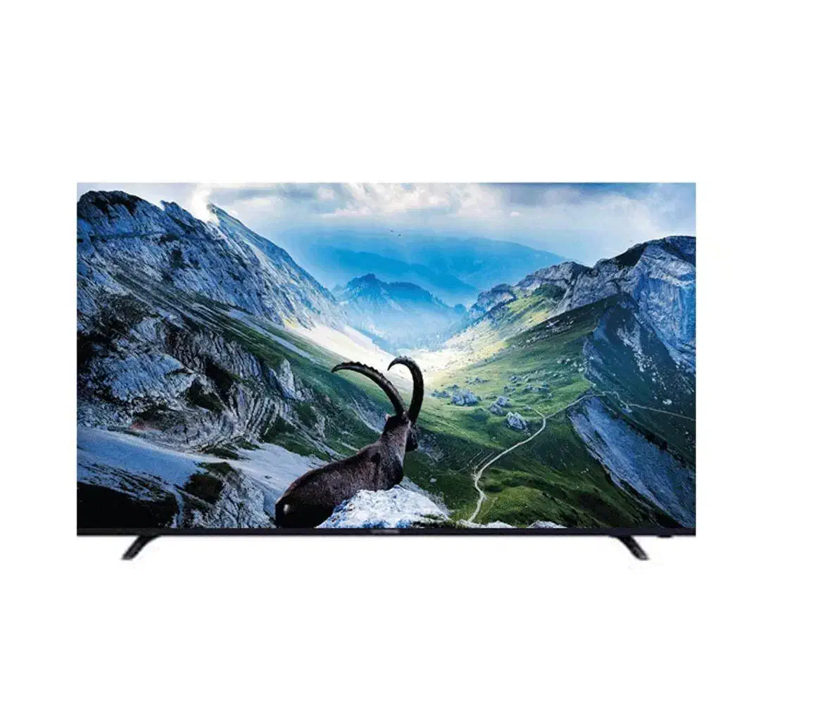 تلویزیون هوشمند دوو مدل DSL-55MS3000U سایز 55 اینچ|تلویزیون و پروژکتور|بیرجند, |دیوار