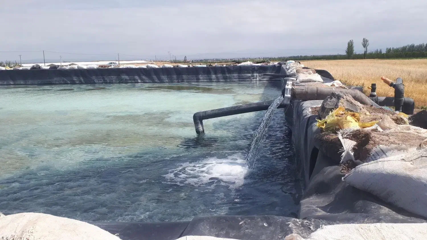 زمین کشاورزی|فروش زمین و ملک کلنگی|هیر, |دیوار