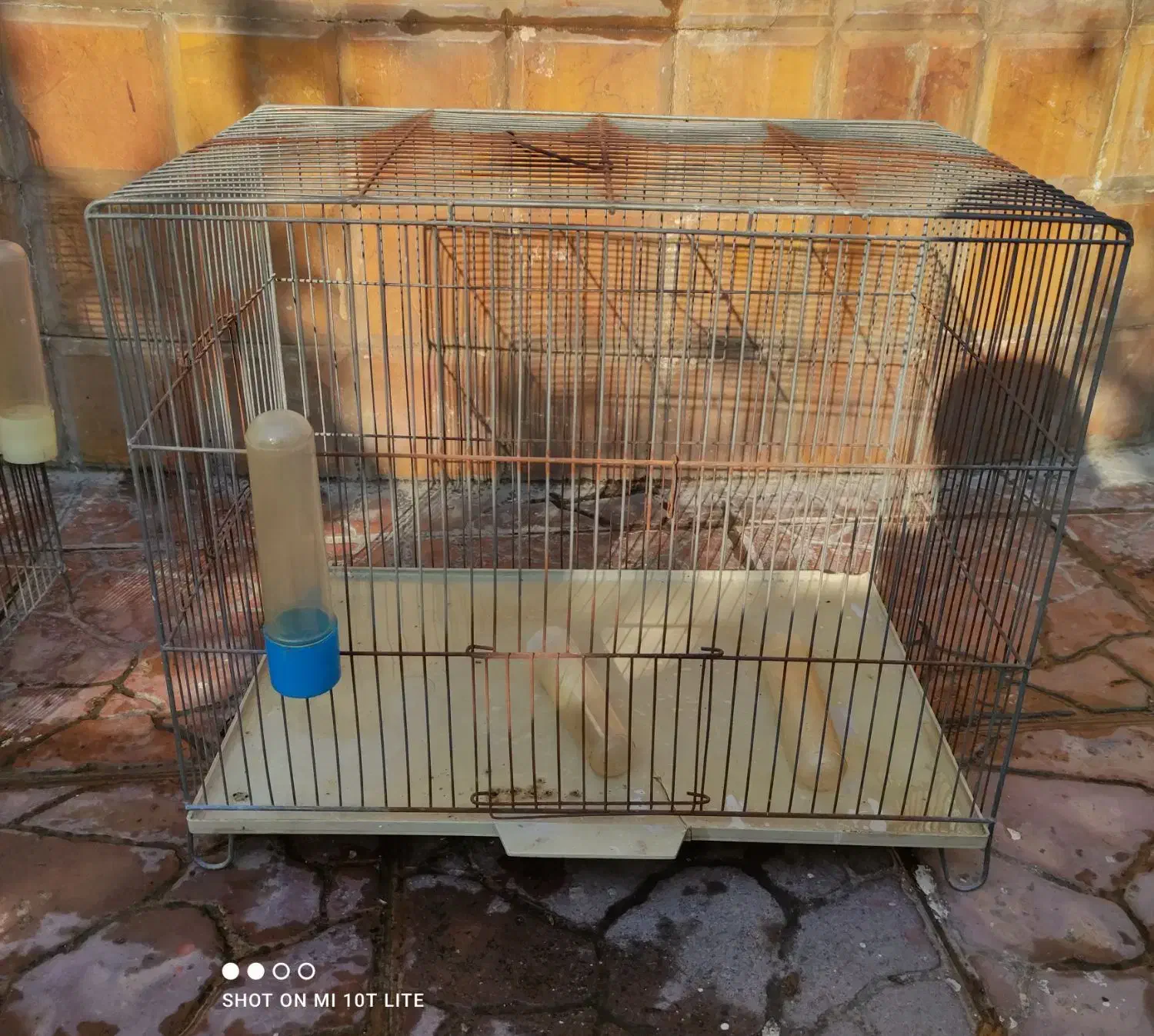 قفس قناری و مرغ عشق|لوازم جانبی حیوانات|فریدون‌کنار, |دیوار