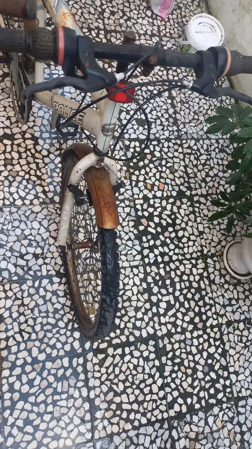 دوچرخه|دوچرخه، اسکیت، اسکوتر|رشت, کوی امام رضا|دیوار