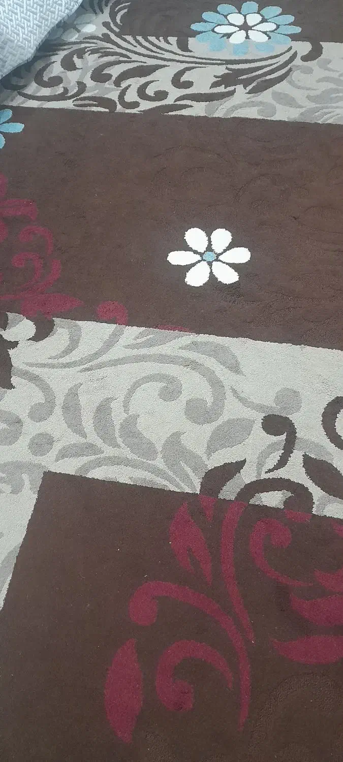 مقداری گلیم وکناره وموکت|گلیم، جاجیم، گبه|ایلام, |دیوار