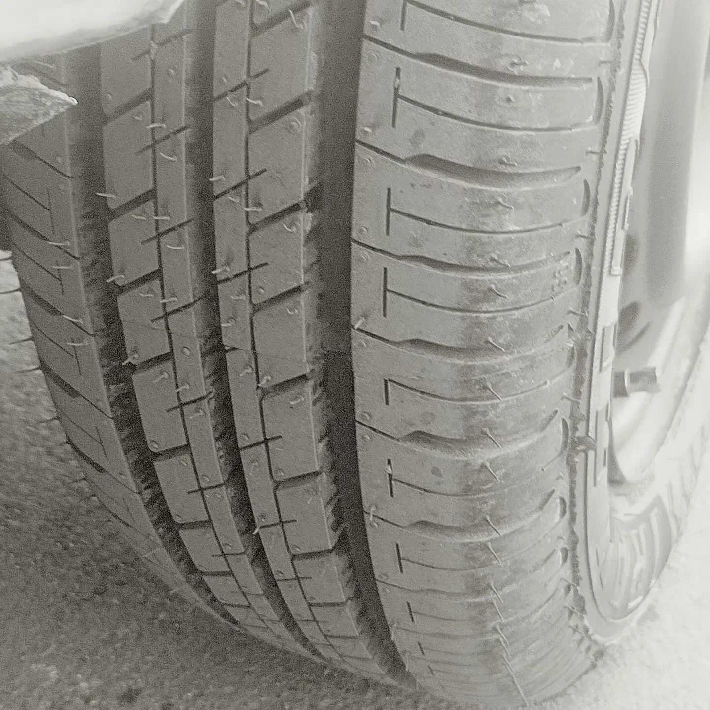 گم شده|اشیا|تایباد, |دیوار