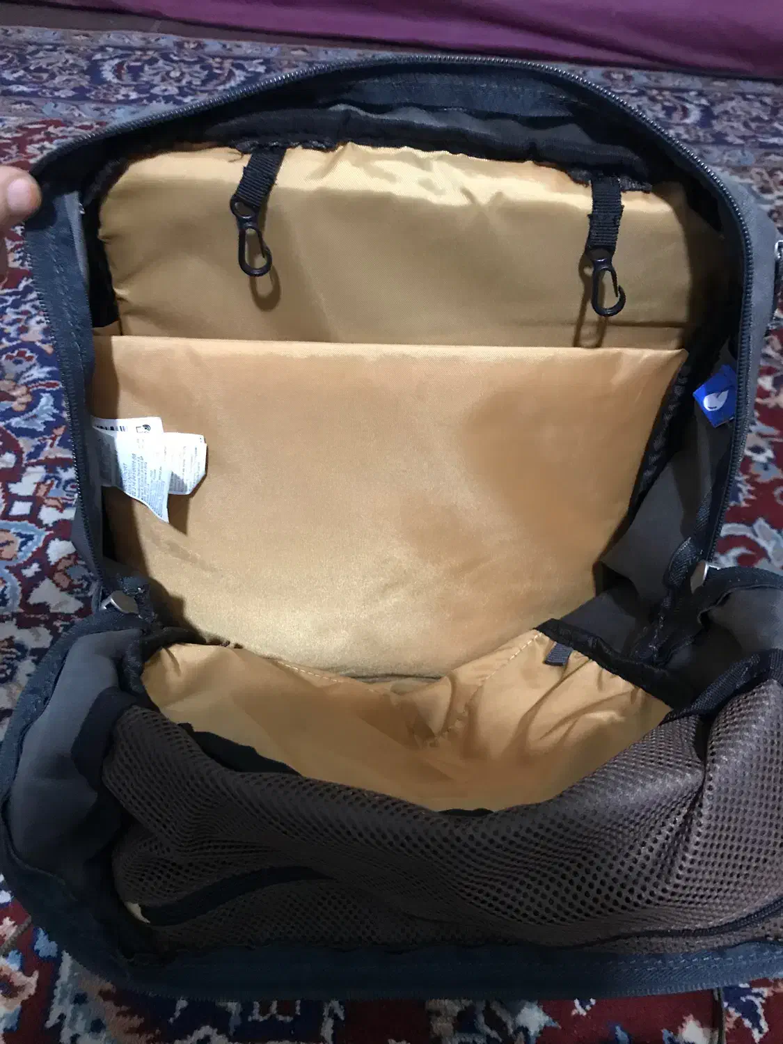 کوله پشتی کچوا بیست لیتری اصلی|کوهنوردی و کمپینگ|ساری, |دیوار