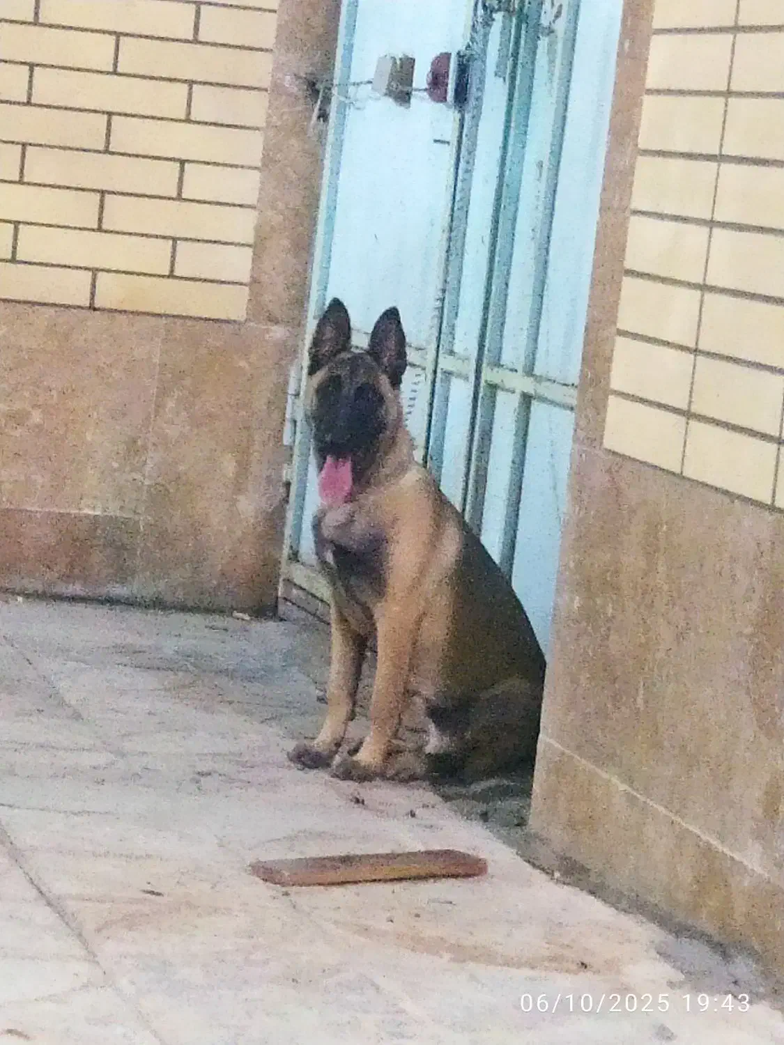 مالینیوز|اشیا|سمیرم, |دیوار