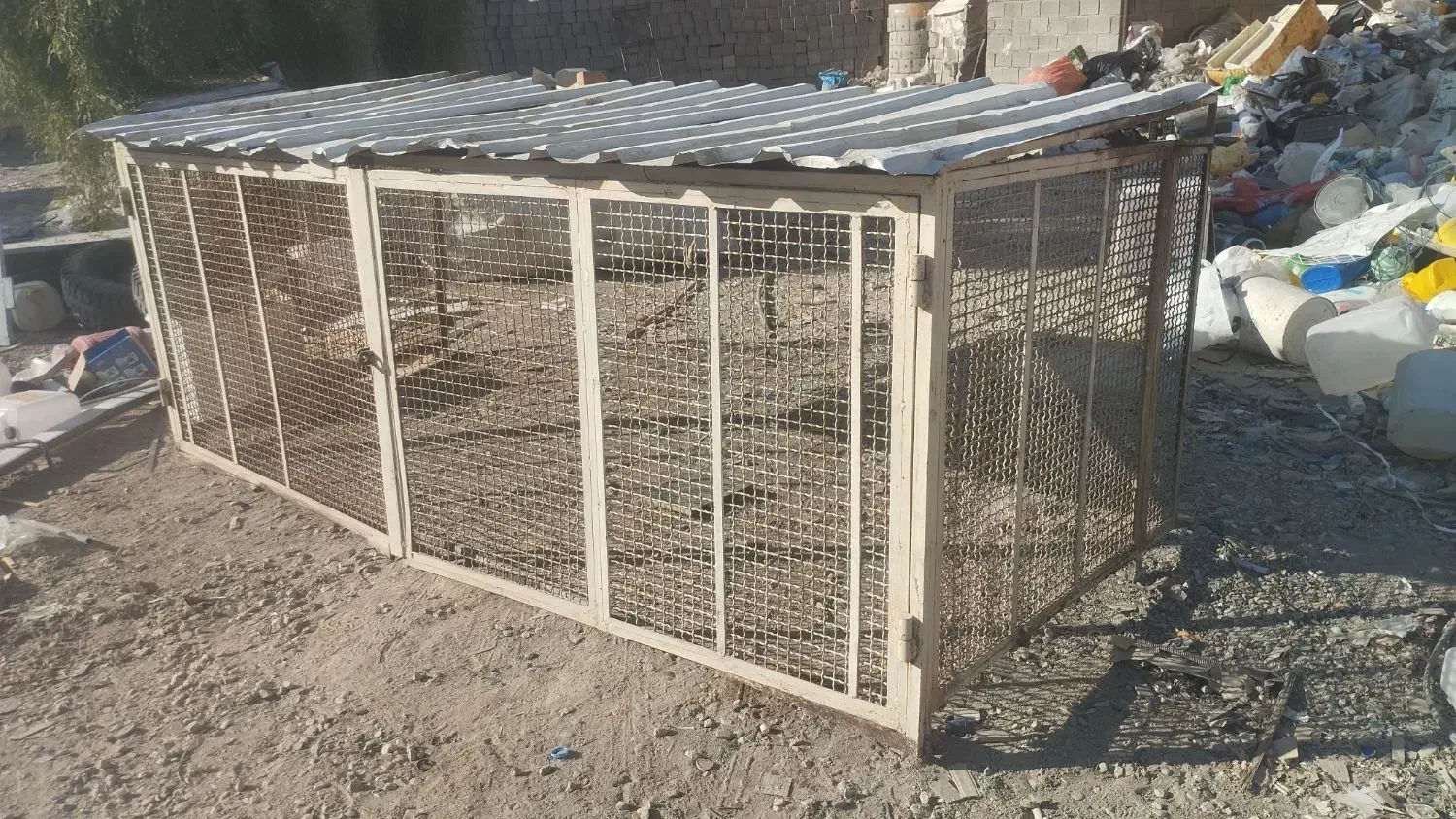 قفس|لوازم جانبی حیوانات|جهرم, |دیوار