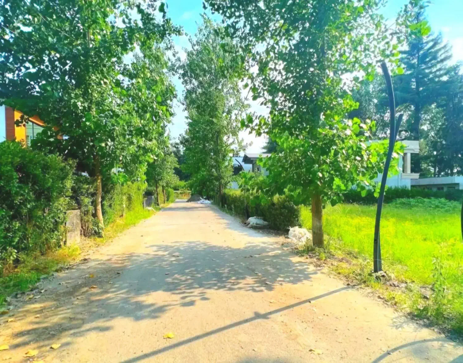 شهرک ۲۴هزار متری باغ صنوبر/ دنج باجواز ساخت|فروش زمین و ملک کلنگی|شیرگاه, |دیوار