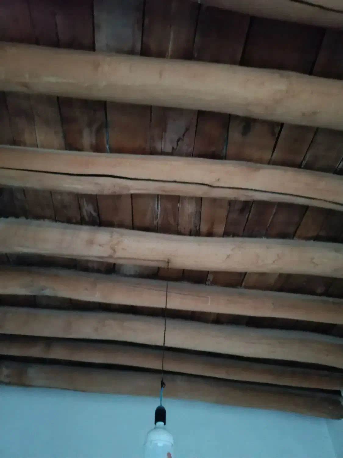 تیر چوبی|مصالح و تجهیزات ساختمان|اهر, |دیوار