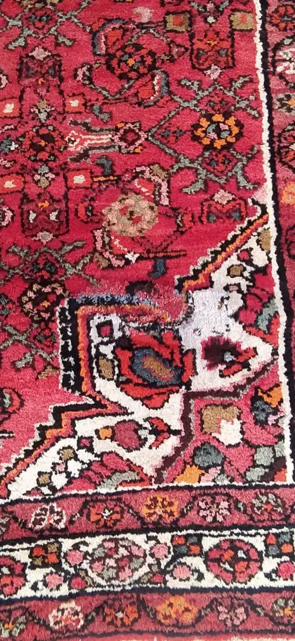 فرش دستبافت بازدید صحنه|فرش|صحنه, |دیوار