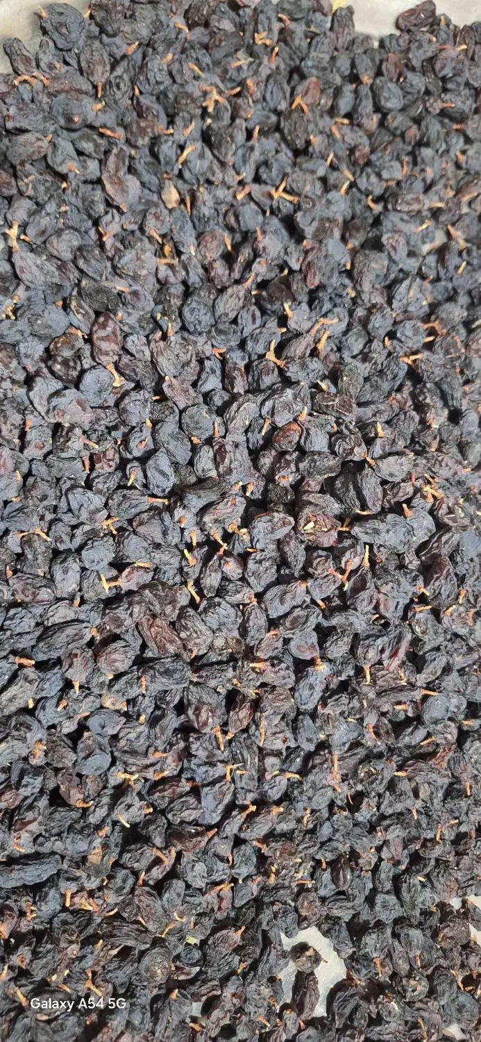 مویز سیاه|خوردنی و آشامیدنی|شیراز, شهرک فرهنگیان|دیوار