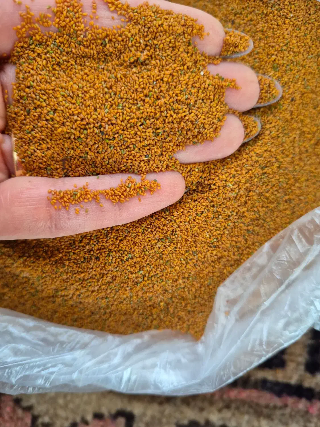 خاک شیر|عمده‌فروشی|شیراز, هفت تنان|دیوار