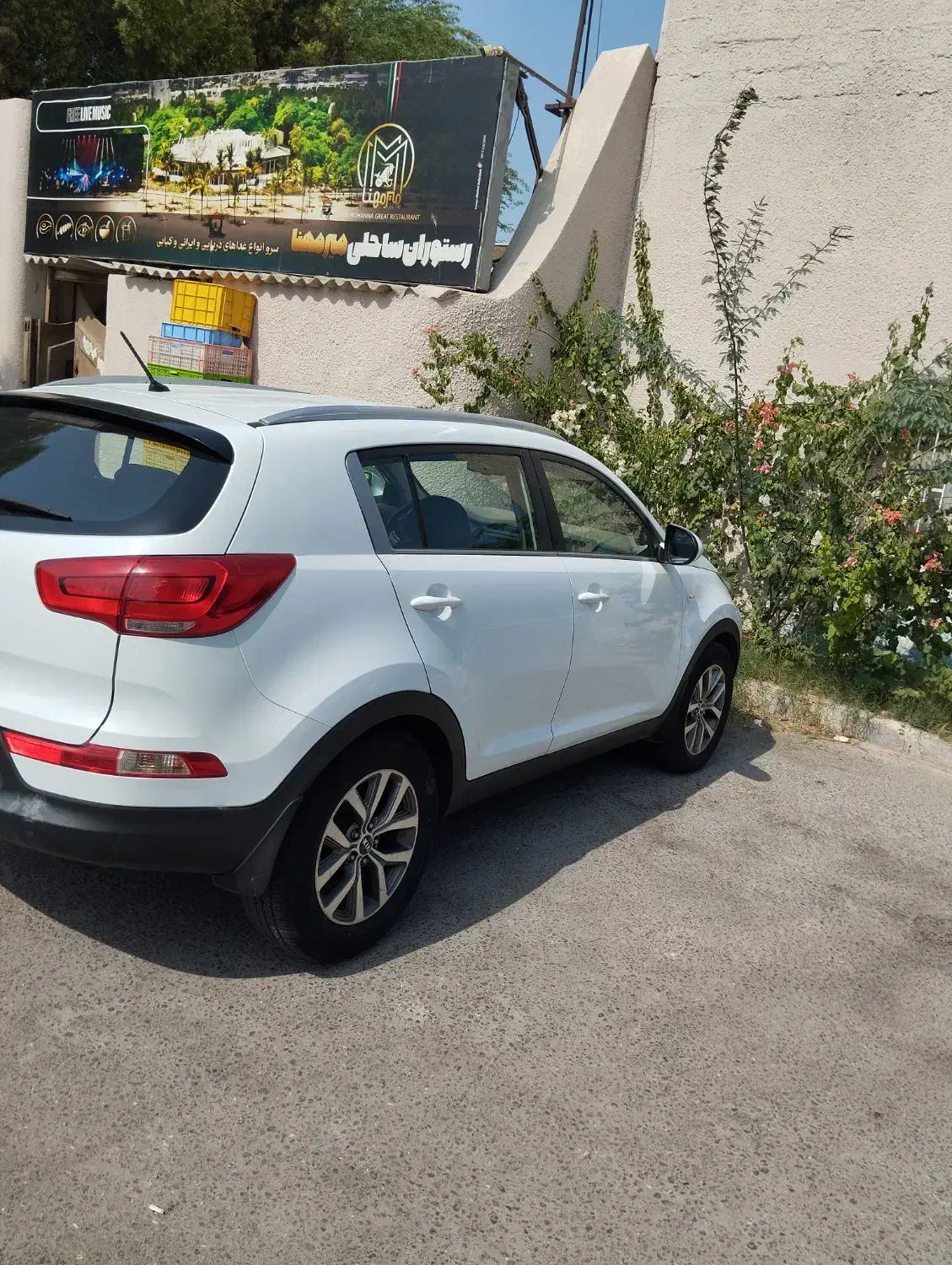 اجاره خودرو روزانه هفتگی اسپورتیج|خودرو اجارهای|کیش, |دیوار