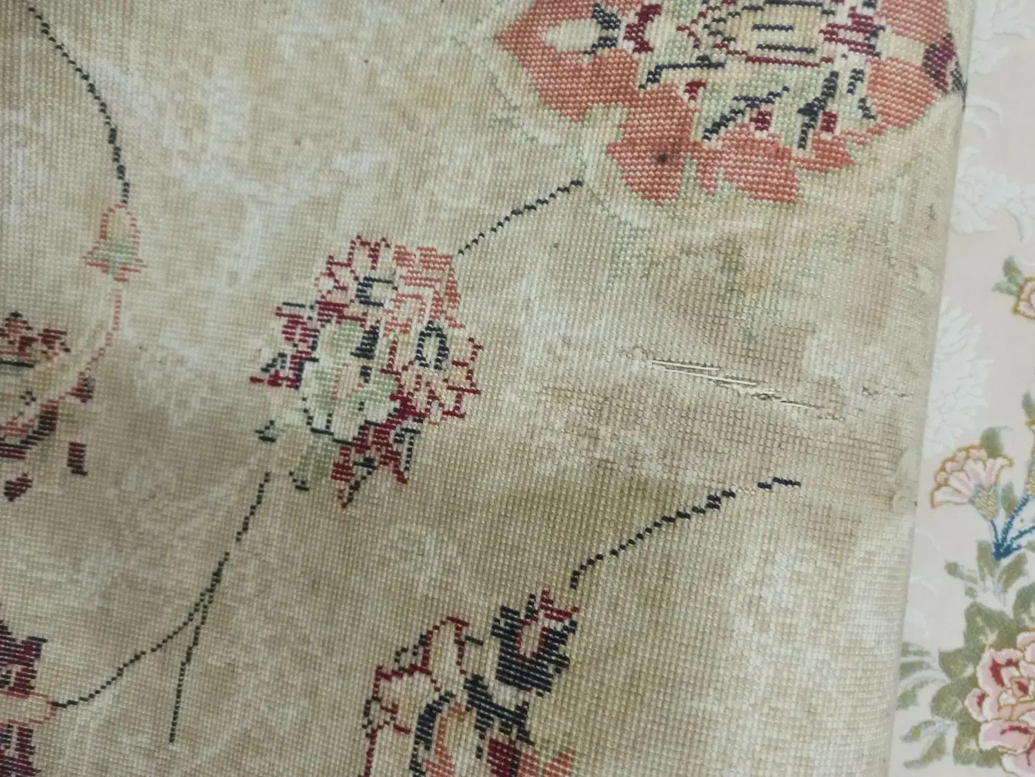 فرش شش متری|فرش|سقز, |دیوار