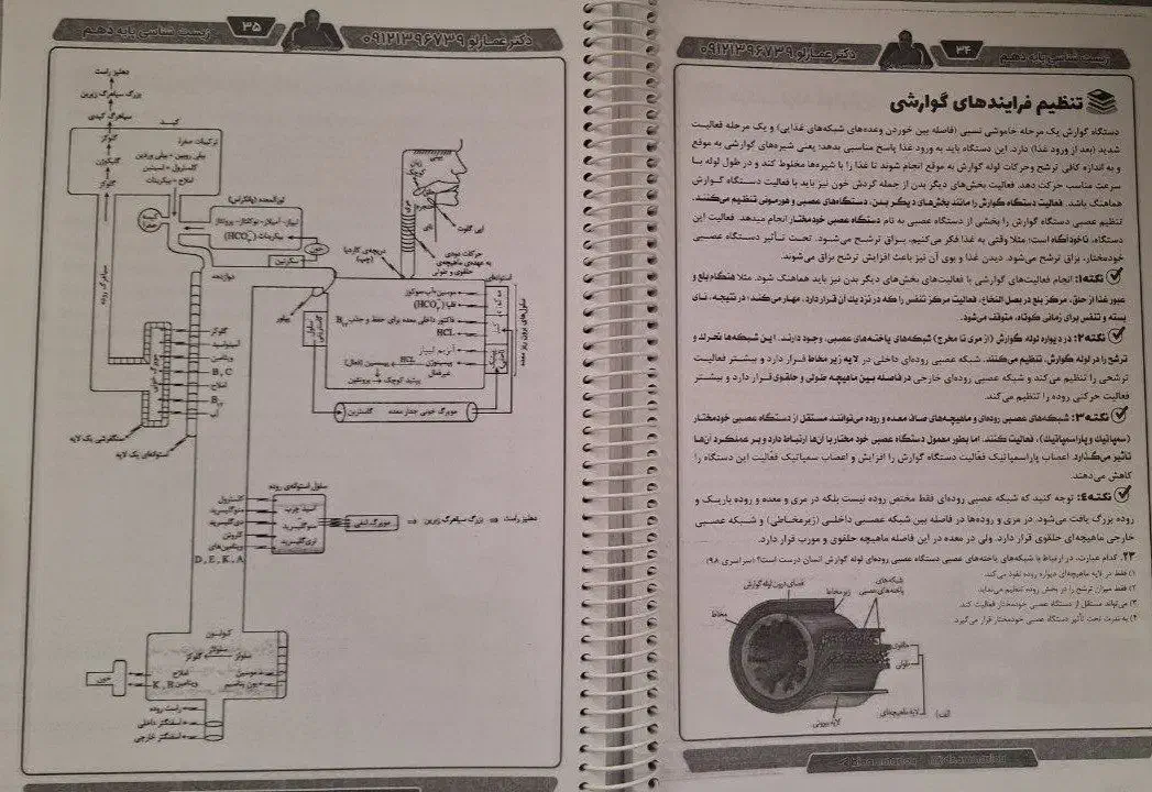 جزوات زیست عمارلو کلاسینو 1403 قیمت توافقی|لوازم التحریر|اسلام‌‌آباد غرب, |دیوار