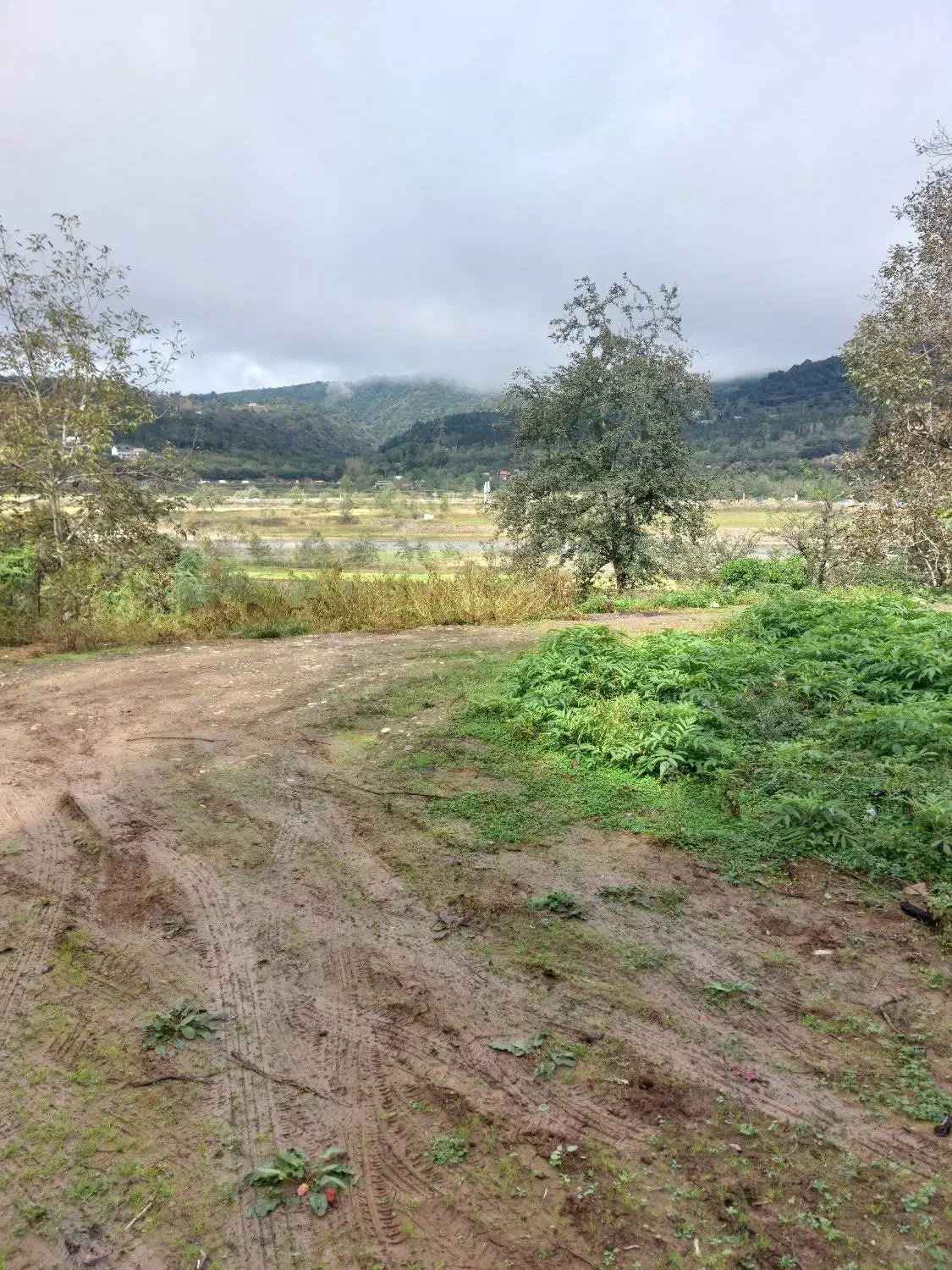 فروش زمین|فروش زمین و ملک کلنگی|توتکابن, |دیوار