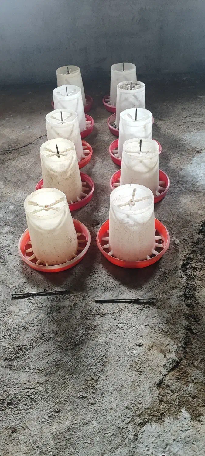 دانخوری سطلی|لوازم جانبی حیوانات|پارسآباد, |دیوار