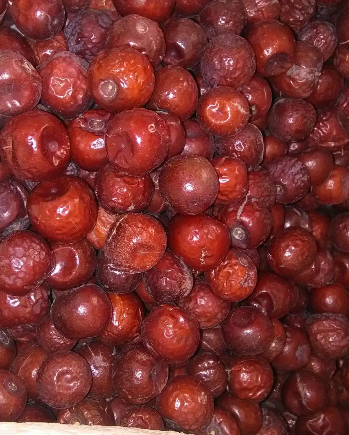 عناب امسال|خوردنی و آشامیدنی|سبزوار, فرهنگیان|دیوار