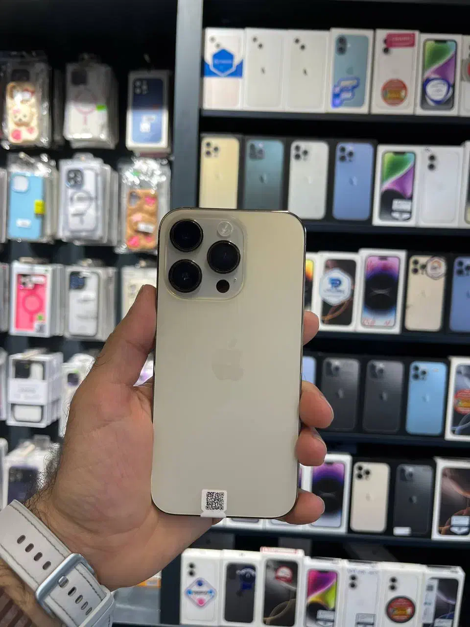 اپل 14 پرو قسطی با چک با اقساط بلند مدت|موبایل|رشت, بازار|دیوار