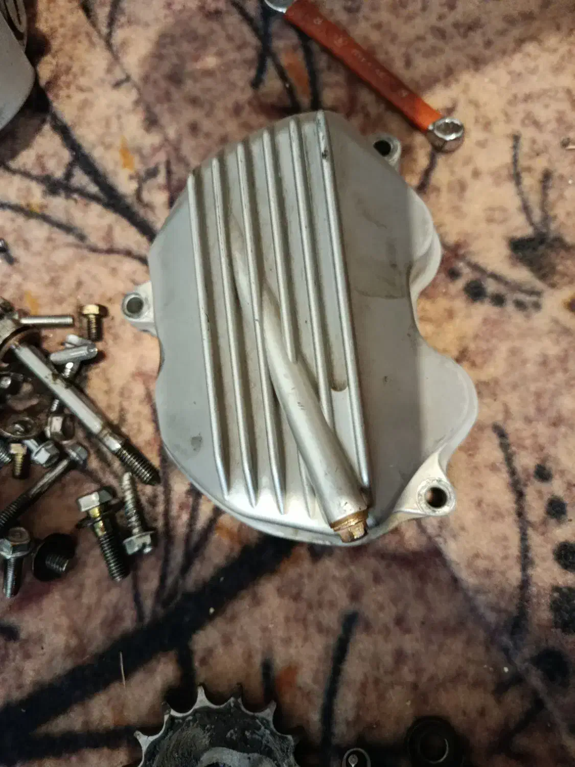 تنه و انجین|عمدهفروشی|مسجد سلیمان, |دیوار